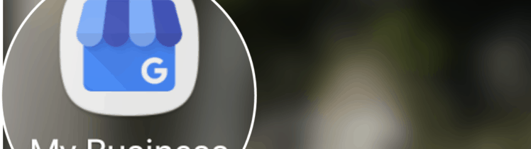 Google My Business App Icon